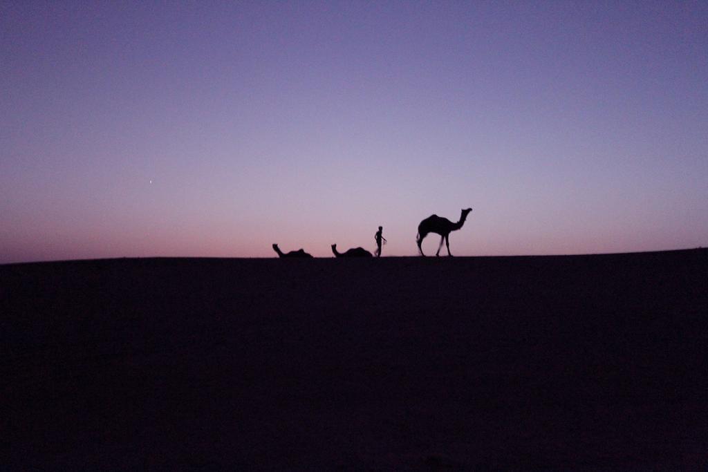 Hotel The Silk Route ジャイサルメール エクステリア 写真
